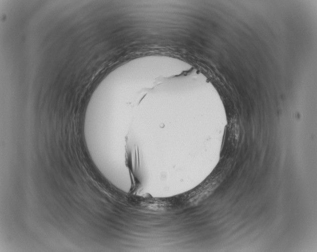 X0000086090564200704202219