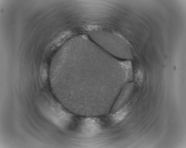 X0000086090566200704202219