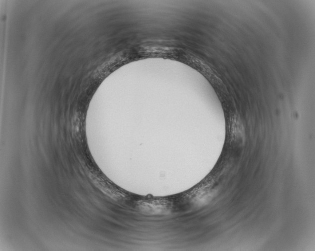 X0000086090567200704202219