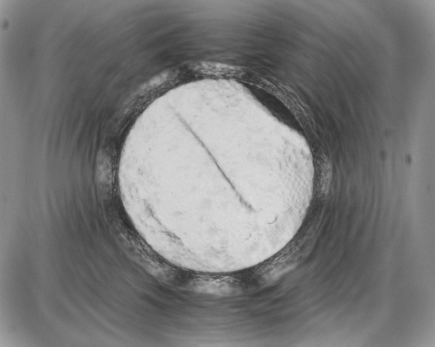 X0000086090569200704202219