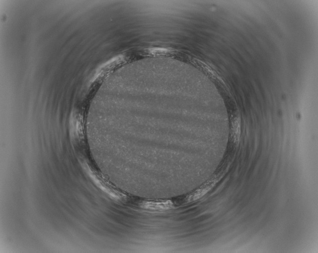 X0000086090571200704202219