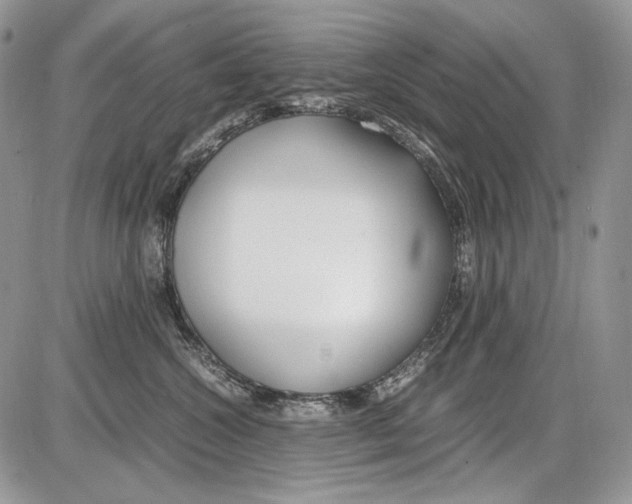 X0000086090572200704202219