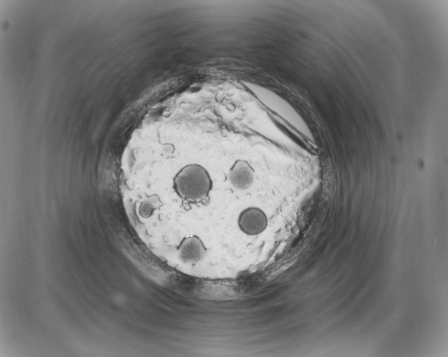 X0000086090573200704202219