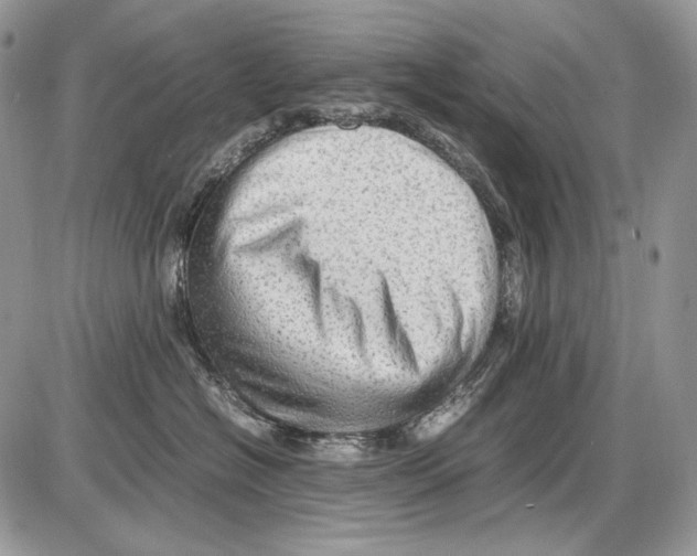 X0000086090574200704202219