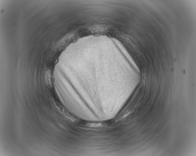 X0000086090575200704202219