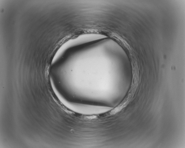 X0000086090576200704202219