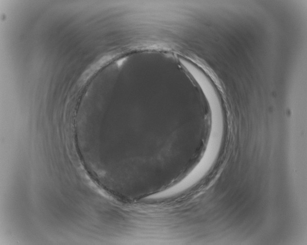 X0000086090577200704202218