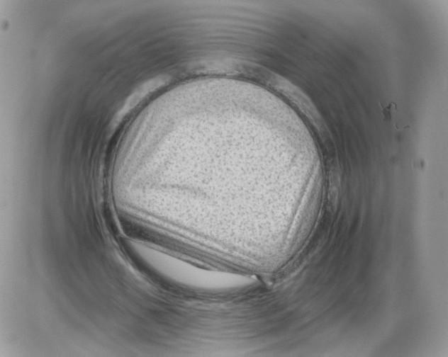 X0000086090578200704202218