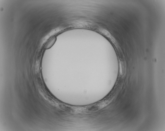 X0000086090579200704202218