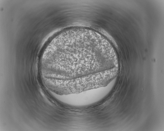 X0000086090580200704202218