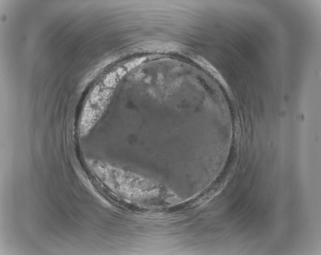 X0000086090581200704202218