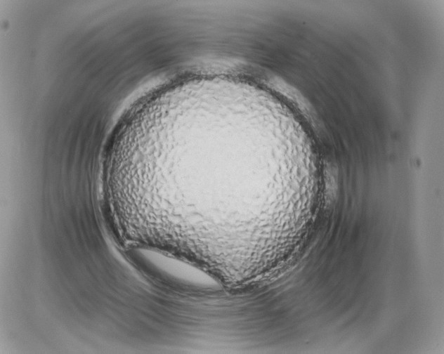 X0000086090582200704202218