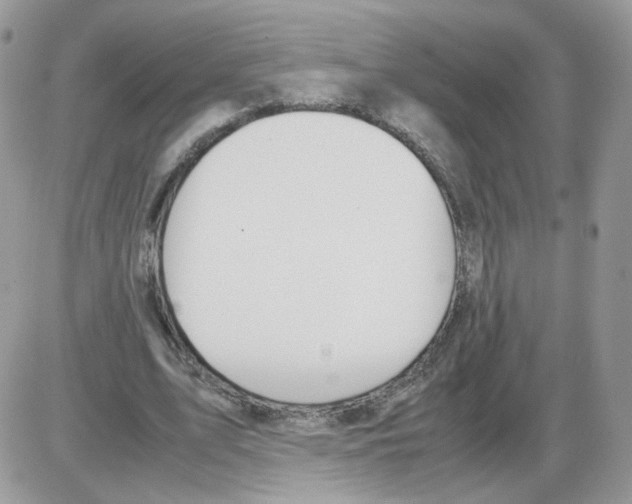 X0000086090583200704202218