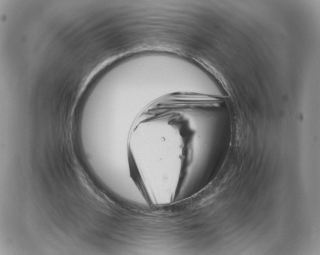 X0000086090584200704202218