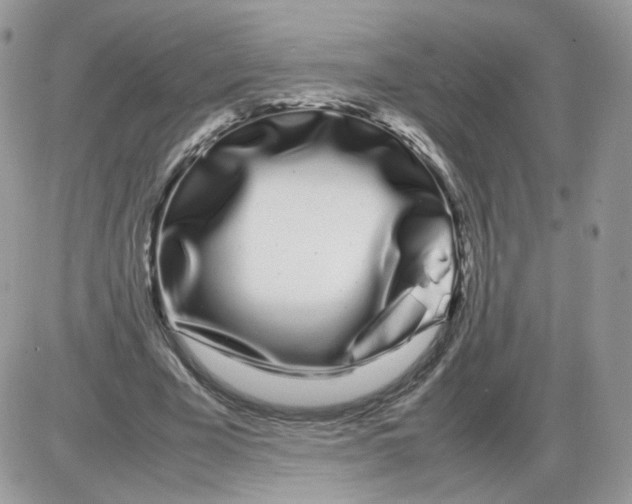 X0000086090585200704202218