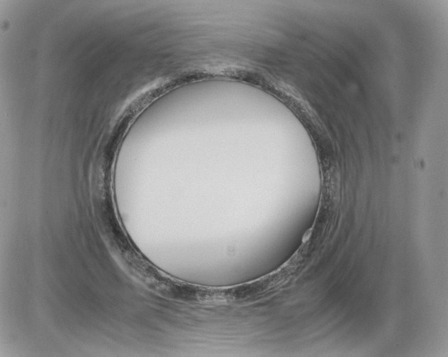 X0000086090587200704202218