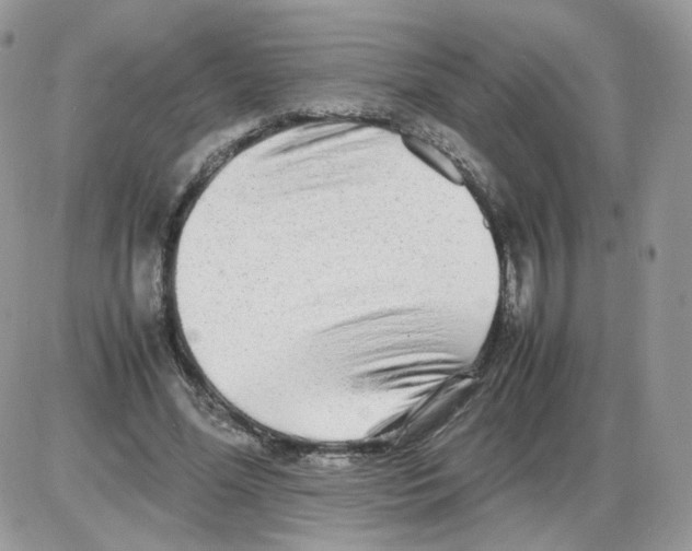 X0000086090588200704202218