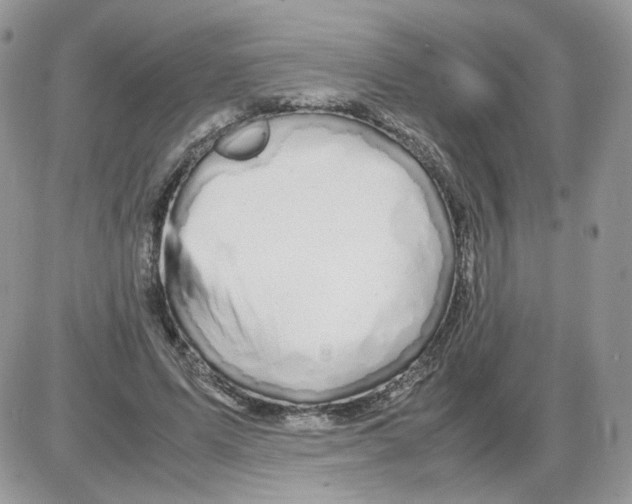 X0000086090591200704202218