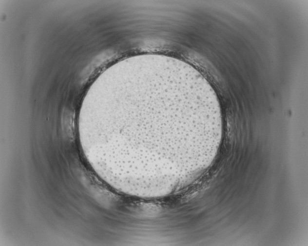 X0000086090592200704202218