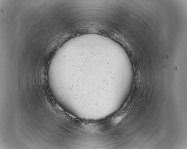 X0000086090594200704202218