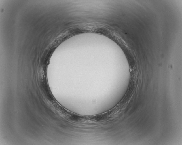 X0000086090597200704202218