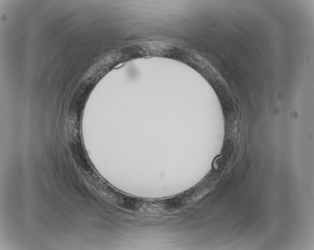 X0000086090599200704202218