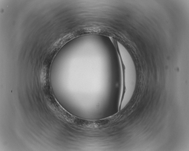 X0000086090600200704202218