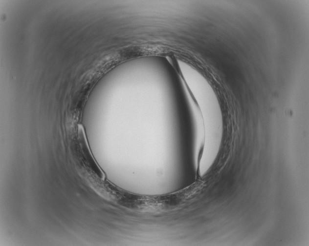 X0000086090601200704202218