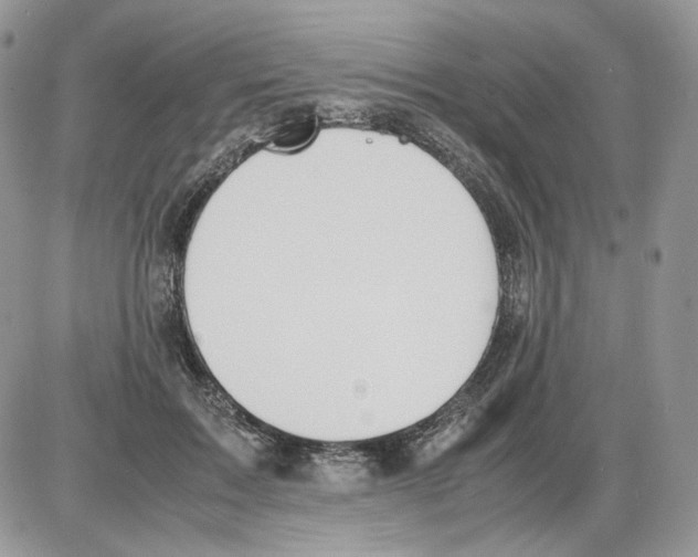 X0000086090603200704202218