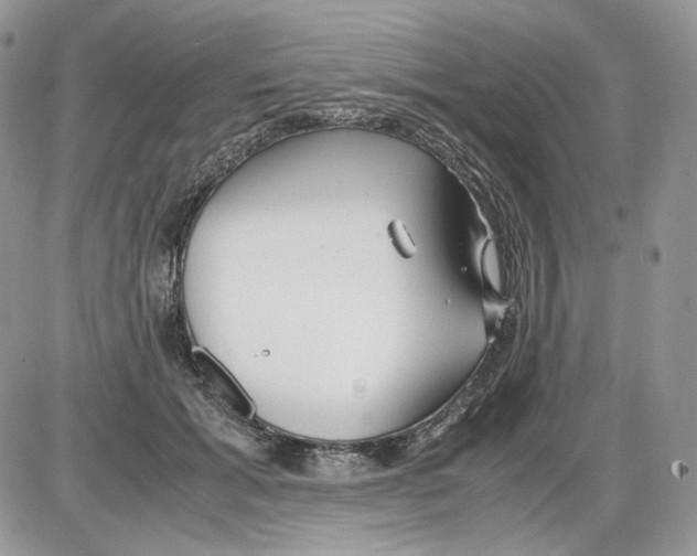 X0000086090605200704202218