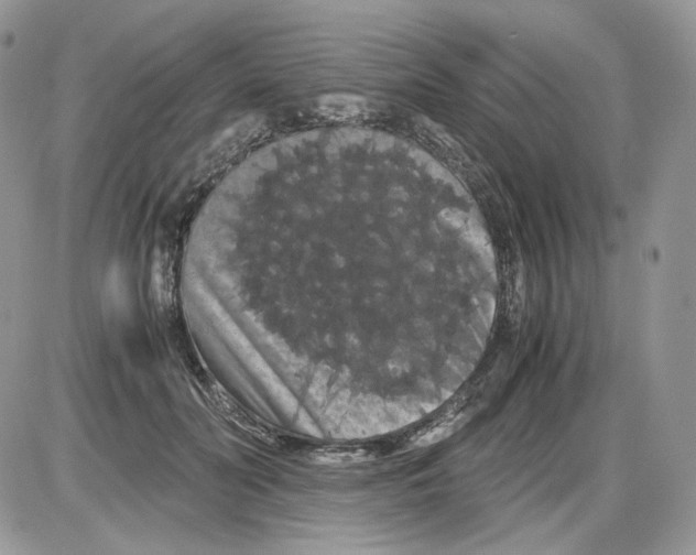 X0000086090606200704202218