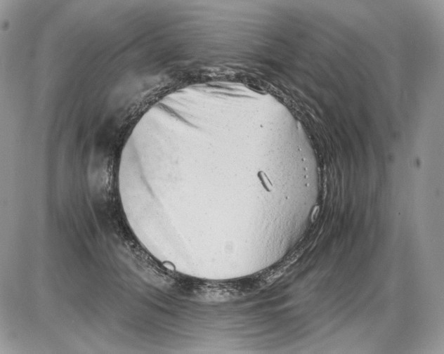 X0000086090608200704202218