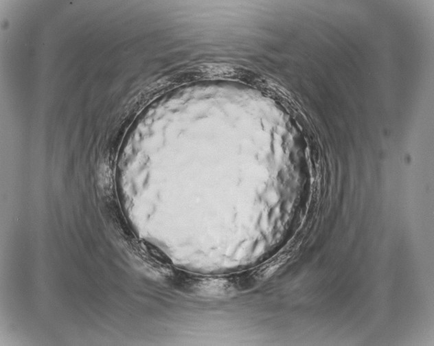 X0000086090609200704202218