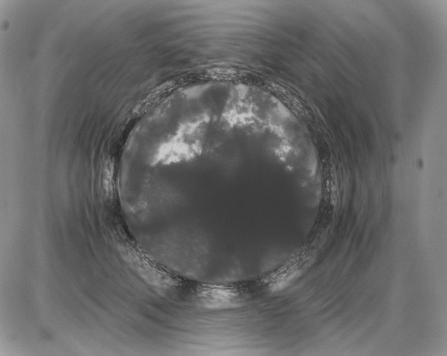 X0000086090610200704202218