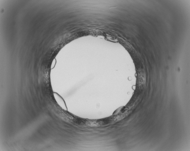 X0000086090613200704202218