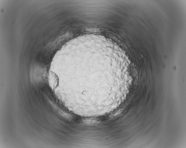 X0000086090614200704202218