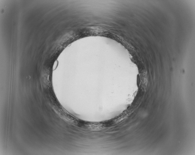 X0000086090615200704202218