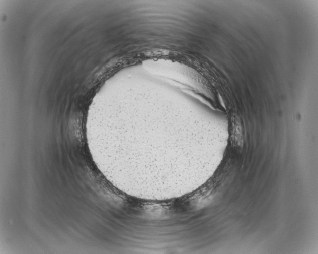 X0000086090616200704202218