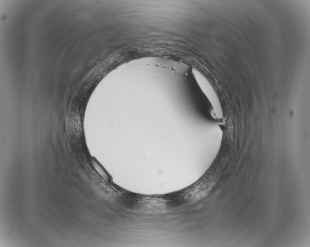 X0000086090617200704202218