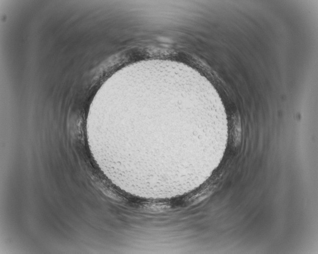 X0000086090619200704202218