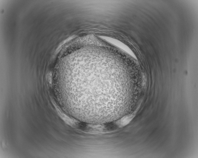 X0000086090621200704202218