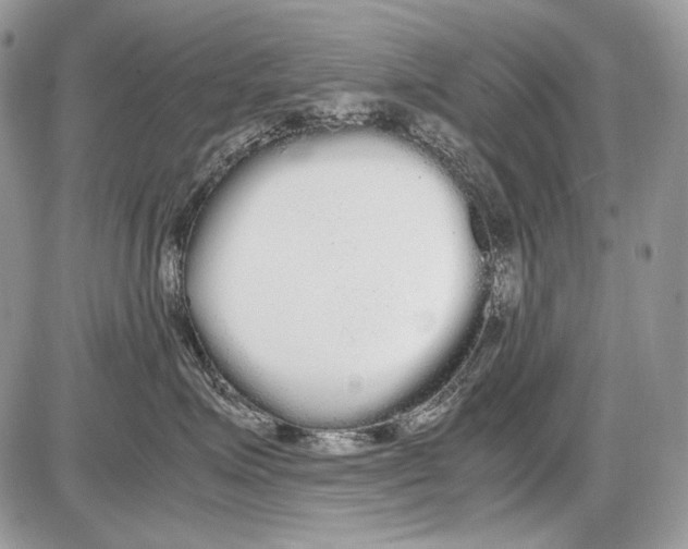 X0000086090623200704202217