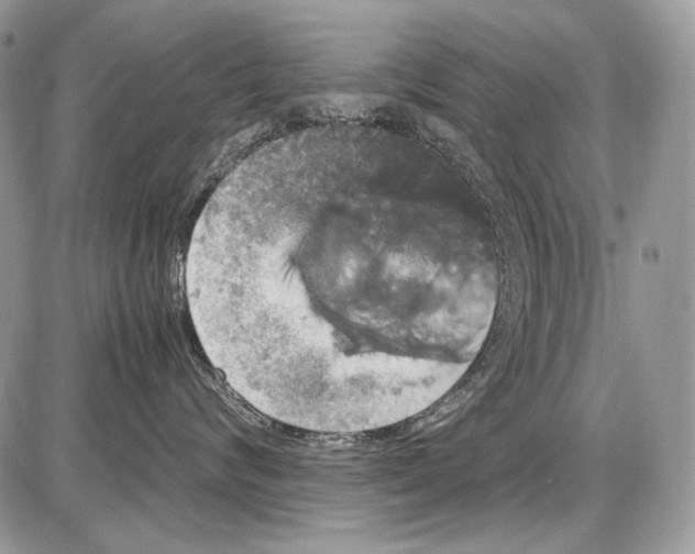 X0000086090624200704202217