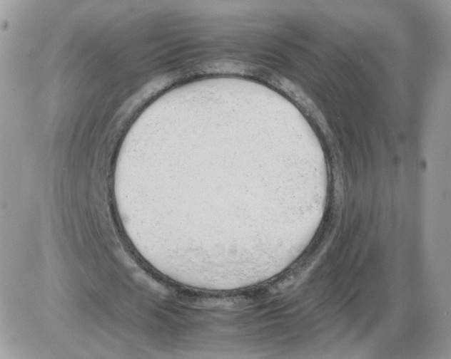 X0000086090625200704202217