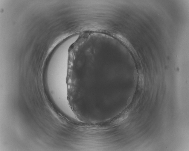 X0000086090626200704202217