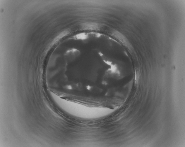 X0000086090627200704202217