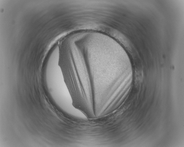 X0000086090628200704202217