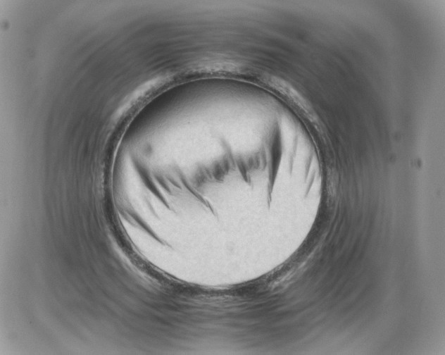 X0000086090629200704202217