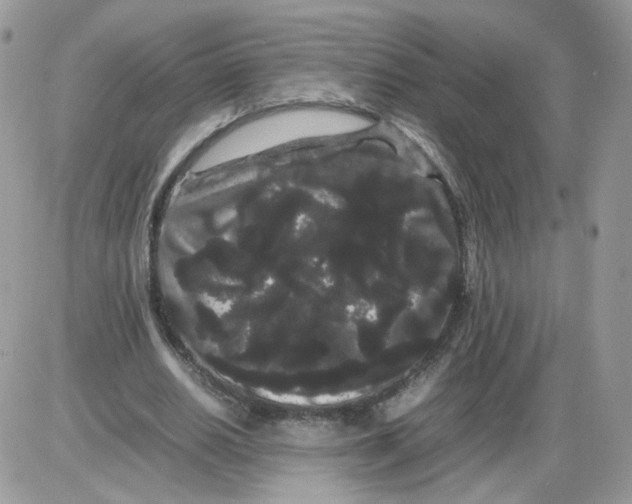 X0000086090630200704202217