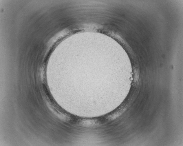 X0000086090632200704202217